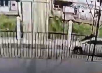 Pengendara mobil di Medan nekat menabrak Satpam hingga tewas setelah tepergok sedang mesum terekam CCTV. (Foto: CCTV). ‘