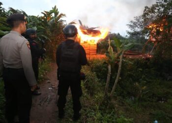 Polda Sumut membakar gubuk judi dan narkoba di Sibolangit. Foto: Dok. Polda Sumut