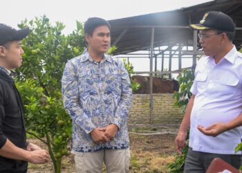 Bupati Humbahas, Dosmar Banjarnahor SE, sarankan Ternak Sapi Perah pada Poktan Dosroha.