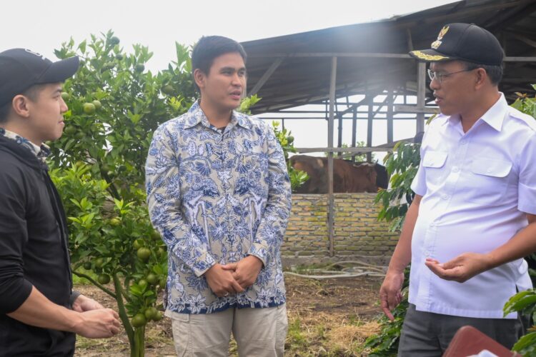 Bupati Humbahas, Dosmar Banjarnahor SE, sarankan Ternak Sapi Perah pada Poktan Dosroha.
