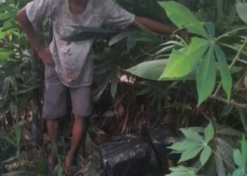 Foto: Pekerja sawit di Paluta temukan sabu tak bertuan di semak-semak. (Dok Polsek Padang Bolak)