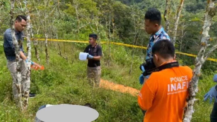 Samosir Gempar, Pemilik Kebun Ditemukan Tewas Bersimbah Darah di Ladang (Foto: Istimewa)