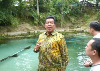 Bupati Simalungun, Radiapoh Hasiholan Sinaga saat meninjau sumber air bersih di Kecamatan Pematang Bandar, Senin (5/2/2024).