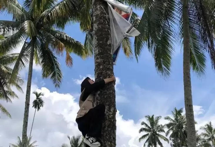 Petugas Pengawas Tempat Pungutan Suara (PTPS) Nurmayanti (24) asal Desa Perian, Kecamatan Montong Gading, Lombok Timur, nekat memanjat pohon kelapa demi menertibkan Alat Peraga Kampanye (APK), Minggu (11/2/2024). Foto/Ramli Nurawang A A A