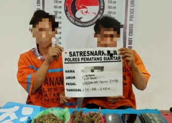 Foto kedua tersangka dan barang bukti ganja yang diamankan Polisi.