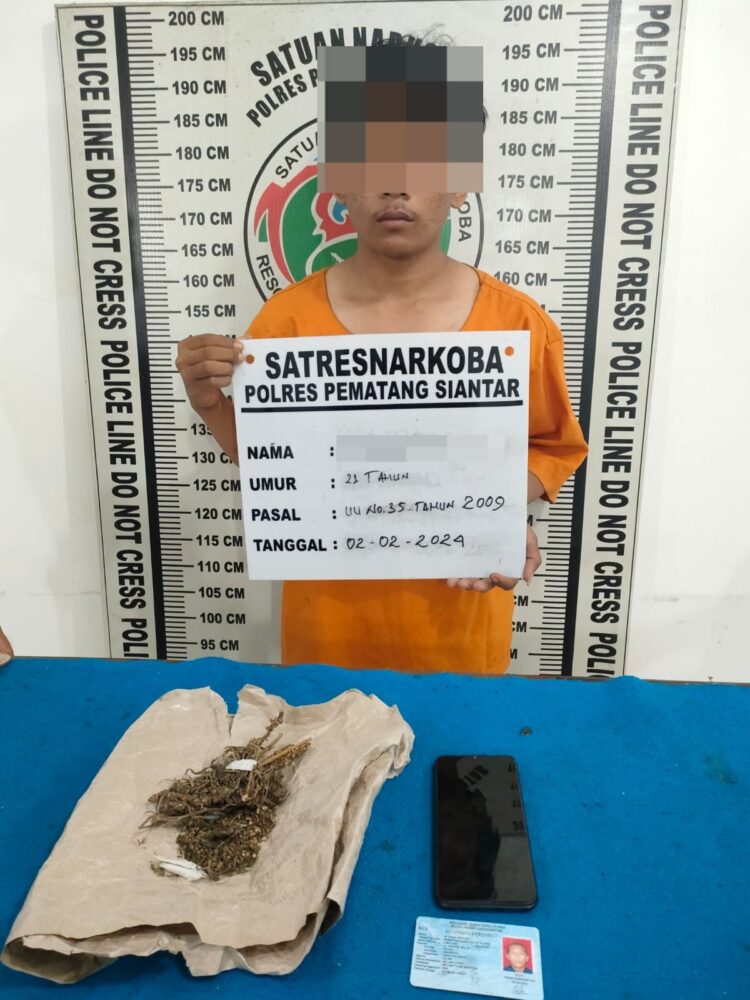 Foto pelaku dan barang bukti ganja yang diamankan Polisi.