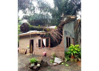 Rumah warga di Desa Bandar Dolok Kecamatan Pagar Merbau Kabupaten Deli Serdang rusak akibat tertimpa pohon sawit yang terbang akibat kena angin puting beliung Rabu, (27/3/2024).