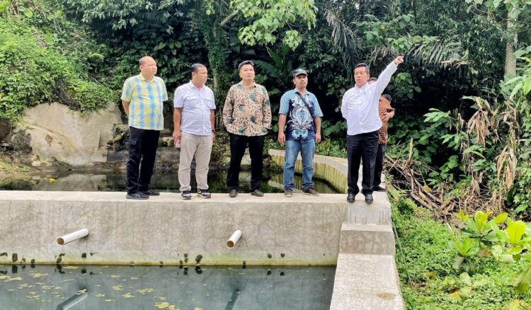 Bupati Simalungun, Radiapoh Hasiholan Sinaga meninjau sumber air, di wilayah Kecamatan Panei, Sabtu (20/4/2024).
