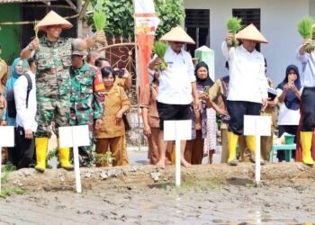Wakil Bupati, H Zonny Waldi melakukan tanam padi perdana dalam rangka launching gerakan tanam, untuk mendukung program pemerintah dalam ketahanan pangan Nasional Tahun 2024 di Kabupaten Simalungun, wilayah Kodim 0207/SML.