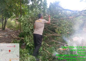 AIPDA Rayendra P. Damanik SH, Bhabinkamtibmas Kelurahan Bantan, ikut langsung membantu membersihkan rumah nenek berumur 124 tahun bernama Saji yang tertimpa pohon tumbang.