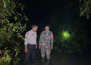 melalui Bhabinkamtibmas Kelurahan Pematang Marihat, Bripka Asril Manurung, mengecek seorang warga binaan tertimpa pohon besar, di Jalan Manunggal Karya Bahail, Kelurahan Pematang Marihat, Kecamatan Siantar Marimbun, Kota Pematangsiantar, pada Kamis (13/6/2024), sekitar pukul 18.45 WIB.