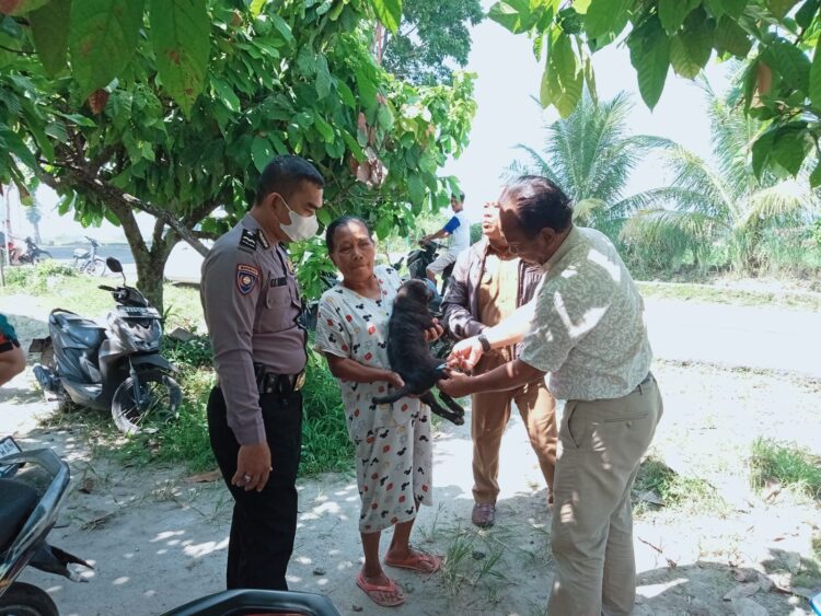 Bhabinkamtibmas Kelurahan Marihat Jaya, Polsek Siantar Marihat, Aipda Erick F Marbun mendampingi petugas dari Dinas Ketahanan Pangan dan Pertanian melalui Bidang Peternakan lakukan vaksinasi rabies di wilayah desa binaan.