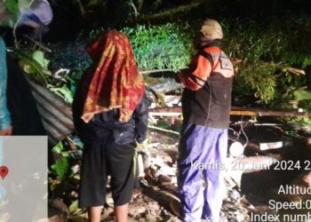 Foto: TKP pohon tumbang di Deli Serdang yang tewaskan ibu dan anak. (Istimewa)