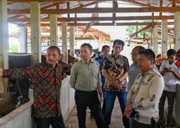Tim Bappelitbang Provinsi Sumatera Utara melakukan validasi lapangan tahap akhir ke Kabupaten Humbahas, Kamis (27/6/2024) lalu, dalam penilaian lomba Inovasi Daerah Sumut 2024.