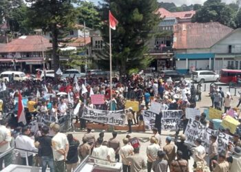 Foto: Massa menggelar demo di DPRD Taput (Dok. Istimewa)