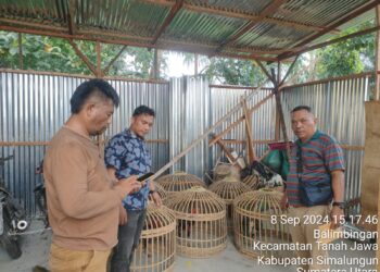 Polsek Tanah Jawa melakukan penggerebekan, di sebuah gelanggang sabung ayam yang berlokasi di UD. Tangkahan, Huta I Sigaol, Nagori Bosar Bayu, Kecamatan Huta Bayu Raja, Kabupaten Simalungun, pada Minggu (8/9/2024).