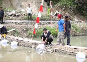 Bupati Pakpak Bharat, Franc Bernhard Tumanggor, menabur bibit ikan lele, di kolam Kelompok Budidaya Ikan Sada Arih, Desa Kecupak II, Kecamatan Pergetteng-Getteng Sengkut, Kamis  (12/09/2024), lalu.