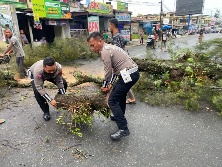 Personil Sat Lantas Polres Pematangsiantar dengan sigap membersihkan dan menyingkirkan pohon tumbang yang mengganggu jalan lintas menuju Asahan, pada Selasa (08/10/2024), sekitar pukul 06.15 WIB.