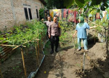 Bhabinkamtibmas Kelurahan Basorma, AIPTU Napena Karo Karo dan Bhabinkamtibmas Kelurahan Bukit Sofa, Bripka Nurdiansyah, ajak warga memanfaatkan pekarangan rumah dengan menanam tanaman pangan.