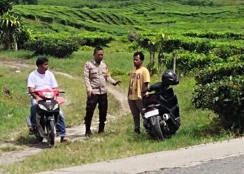 Polres Simalungun memberantas praktik pungutan liar (pungli) yang mengganggu kenyamanan di kawasan wisata kebun teh Sidamanik.