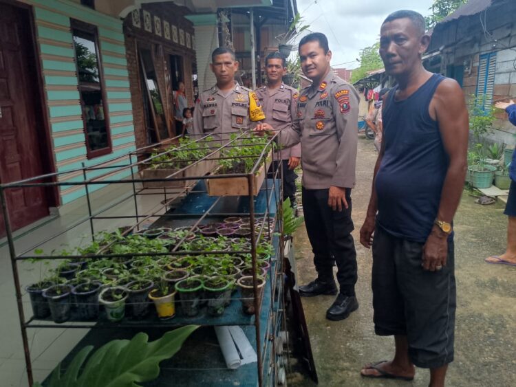 Kapolsek Siantar Timur, IPTU Edy J.J. Manalu, S.H, M.H, sambangi rumah warga yang menanam tanaman bergizi, di Jalan Narumondah Bawah, Gg. Dame, Kelurahan Kebun Sayur, Kecamatan iantar Timur, Kota Pematangsiantar, pada Selasa (12/11/2024) sore, sekira pukul 15.30 WIB.