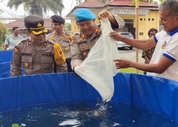 Polres Simalungun melaksanakan kegiatan penaburan bibit ikan dengan metode bioflok, di halaman samping Markas Polres Simalungun, Jalan Jhon Horailam Saragih, Pamatang Raya, Kecamatan Raya, Kabupaten Simalungun.