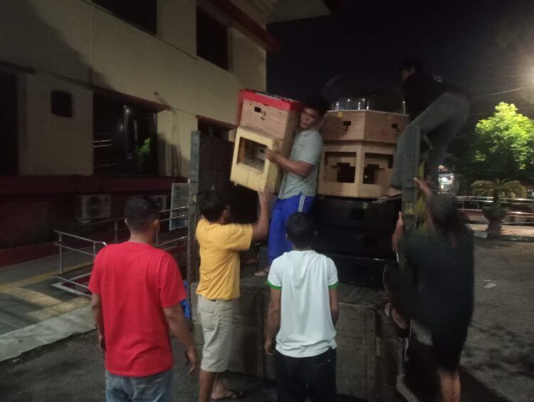 Dit Reskrimum Polda Sumut menemukan gudang penyimpanan berbagai jenis mesin judi, di wilayah Kecamatan Hamparan Perak, Tandem Binjai, Sabtu (2/11/2024) malam.