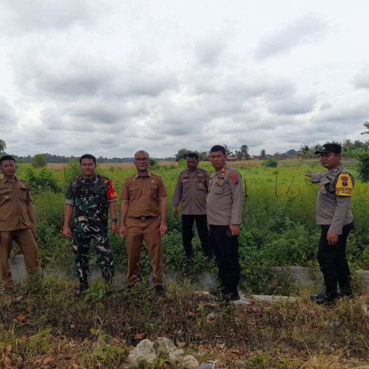 Kapolsek Siantar Marihat, AKP Doni Simanjuntak, SH, melaksanakan pengecekan lahan Ketahanan Pangan (Ketapang) di Jalan Parapat KM 5, Kelurahan Simarimbun, Kecamatan Siantar Marimbun, Kota Pematangsiantar, pada Senin (4/11/2024) siang, sekitar pukul 11.45 WIB.