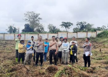 Polres Simalungun - Polda Sumatera Utara, mengadakan pembersihan dan peninjauan lahan ketahanan pangan, di depan kantor Satreskrim Polres Simalungun, pada Selasa (12/11/2024).