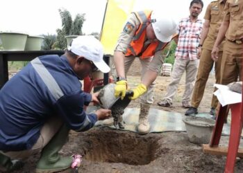 Bupati Pakpak Bharat, Franc Bernhard Tumanggor meresmikan pembangunan Perumahan Subsidi PT. Dian Karya Sumberinda Permaswari Residence I, di Desa Boangmanalu, Kecamatan Salak, Kamis (28/11/2024).