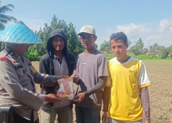 Bhabinkamtibmas Polsek Siantar Marihat, Aipda Abdul Malik menyambangi warga Kelurahan Parhorasan dalam mendorong ketahanan pangan dengan menanam benih jangung, di lahan kosong, Kamis (05/12/2024).