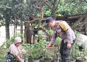 Polsek Siantar Marihat melalui Bhabinkamtibmas Kelurahan Simarimbun, Bripka Johannes Siregar, sambangi warga binaannya, Ibu Wiji, pada Kamis (19/2024) pagi lalu, pukul : 10.30 WIB.