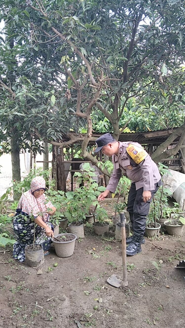 Polsek Siantar Marihat melalui Bhabinkamtibmas Kelurahan Simarimbun, Bripka Johannes Siregar, sambangi warga binaannya, Ibu Wiji, pada Kamis (19/2024) pagi lalu, pukul : 10.30 WIB.