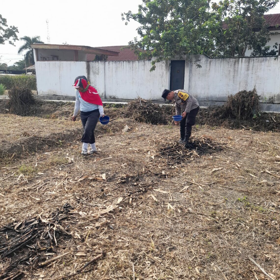 Bhabinkamtibmas Kelurahan Simarimbun, Bripka Johannes Siregar, melaksanakan kegiatan sambang kepada warga binaan yang sedang menanam jagung..