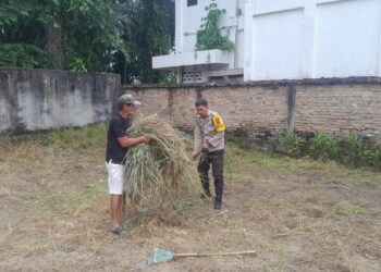 Bhabinkamtibmas Polsek Siantar Selatan, Aipda Eko Silalahi, SH, menyambangi warga Kelurahan Toba, dalam mendorong ketahanan pangan dengan membersihkan lahan kosong untuk menanam benih jangung, Jumat (13/12/2024) lalu.