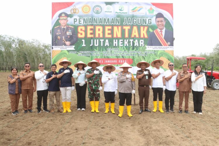 Kapolres Simalungun, AKBP Choky Sentosa Meliala, S.I.K., S.H., M.H, memimpin kegiatan penanaman jagung serentak 1 juta hektar, di PTPN IV Regional 1 Kebun Bangun, Jalan Asahan Km 17, Kecamatan Gunung Malela, Kabupaten Simalungun.