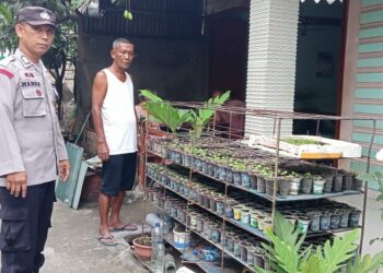 Bhabinkamtibmas Kelurahan Kebun Sayur, Bripka Manoa Sitanggang, sambangi warga binaan, Cosmas Manurung, pada Senin (20/1/2025) siang, sekitar pukul 11.45 WIB.