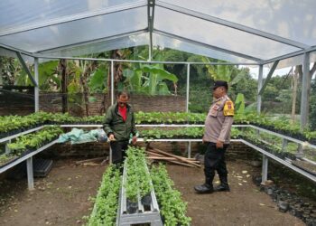 Bhabinkamtibmas Kelurahan Nagapitu,   AIPTU Sabam Ambarita, kunjungi pekarangan rumah warga binaan, Muhammad Nuh Nasution, di Jalan Nagapitu, pada Senin (13/1/2024) pagi, sekira pukul : 09.30 WIB.