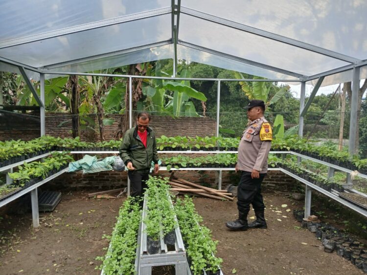 Bhabinkamtibmas Kelurahan Nagapitu,   AIPTU Sabam Ambarita, kunjungi pekarangan rumah warga binaan, Muhammad Nuh Nasution, di Jalan Nagapitu, pada Senin (13/1/2024) pagi, sekira pukul : 09.30 WIB.