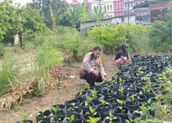 Polsek Siantar Utara melalui Bhabinkamtibmas Kelurahan Baru, Aipda Yudi Patra, melaksanakan sambang kepada warga binaan, Bapak H. Hasibuan.