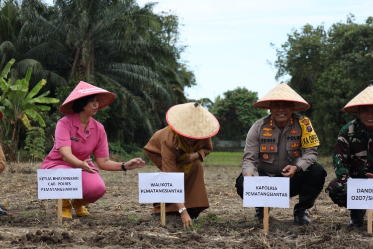 Kapolres Pematangsiantar, AKBP Yogen Heroes Baruno SH, SIK, pimpin pelaksanaan tanam benih jagung serentak 1 juta hektar, di Jln Sumber Jaya II Pematangsiantar, pada Selasa (21/1/2025).