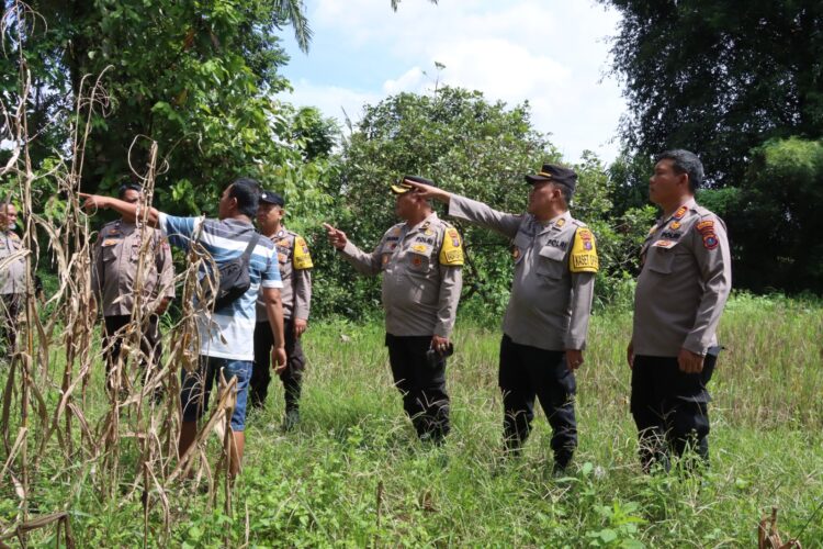 Kapolres Pematangsiantar, AKBP Yogen Heroes Baruno SH, SIK, tinjau lahan persiapan penanaman jagung serentak 1 hektar lahan, pada Selasa (7/1/2025) siang, sekira pukul 11.00 WIB.