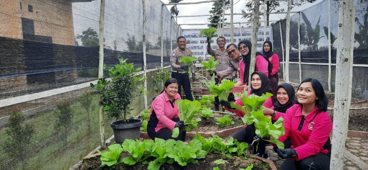 Polres Simalungun bersama Bhayangkari Cabang Simalungun meluncurkan program Penguatan Pekarangan Pangan Lestari (P2L).