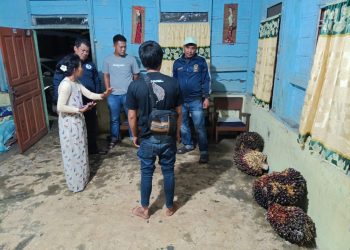 Polres Pematangsiantar gerak cepat melakukan pengecekan Tempat Kejadian Perkara (TKP) pencurian kelapa sawit, di Jalan Bahkora II Bawah Pematangsiantar, pada Jumat (27/6/2025).