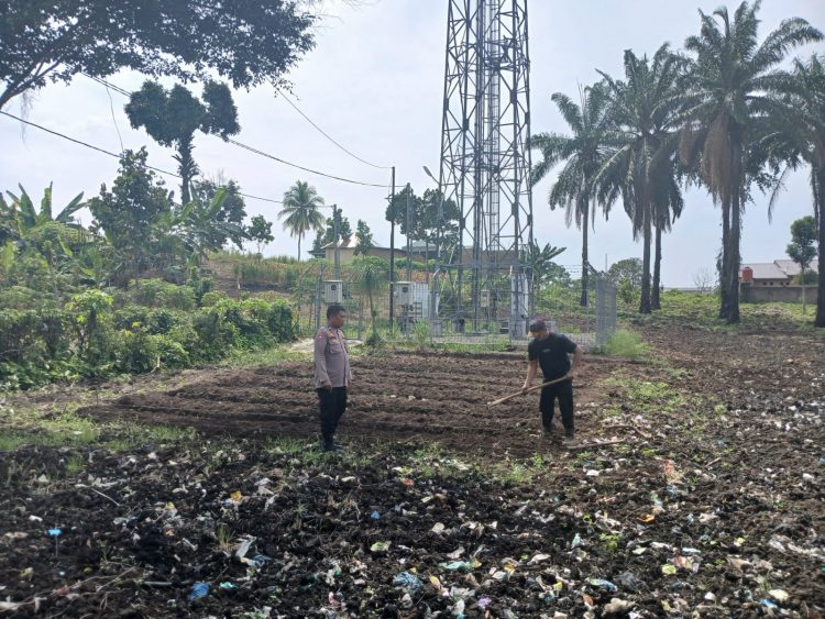 Bhabinkamtibmas Kelurahan Nagapitu, Aipda S. Ambaria, melaksanakan sambang kepada warga binaan, Bapak Edi yang manfaatkan ladangnya untuk tanam tanaman bergizi yang terletak di Jalan Asrama, Kelurahan Nagapitu, Kecamatan Siantar Martoba, Kota Pematangsiantar, pada Senin (9/6/2025) siang.