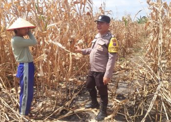 Bhabinkamtibmas Kelurahan Simarimbun, Bripka Johannes Siregar melaksanakan sambang kepada warga binaan, Dimas Sigalingging yang akan menanam jagung dalam mendukung program ketahanan pangan, pada Kamis (26/6/2025) pagi.