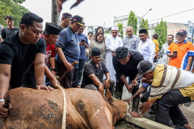 Sapi yang diserahkan Ny Liswati disembelih langsung oleh Ketua DP MUI Kota Pematangsiantar, Muhammad Ali Lubis, dan disaksikan langsung oleh Ny Liswati.