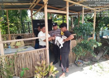 Bhabinkamtibmas Kelurahan Simarimbun, Bripka Johannes Siregar melaksanakan pendampingan kegiatan penyuntikan vaksinasi rabies ke hewan peliharaan warga, di Jalan Raya Ke Sidamanik Simarimbun Dolok, Gang Umbul, Kelurahan  Simarimbun, Kecamatan Siantar Marimbun, Kota Pematangsiantar, pada Kamis (12/6/2025) siang.