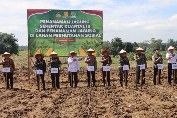 Polres Pematangsiantar melaksanakan penanaman jagung serentak kuartal III, di Lapangan GKPS, Jl. Pendeta J. Wismar Saragih No.6a Pematangsiantar, pada Rabu (9/7/2025) siang.