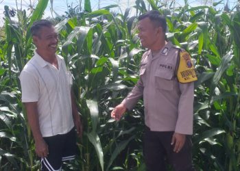 Bhabinkamtibmas Kelurahan Kristen, BRIPKA Swandi melaksanakan sambang warga, Bapak E. Butarbutar yang memanfaatkan lahan dengan tanam jagung, di Jalan Mandiri Pematangsiantar, pada Senin (7/7/2025) siang.